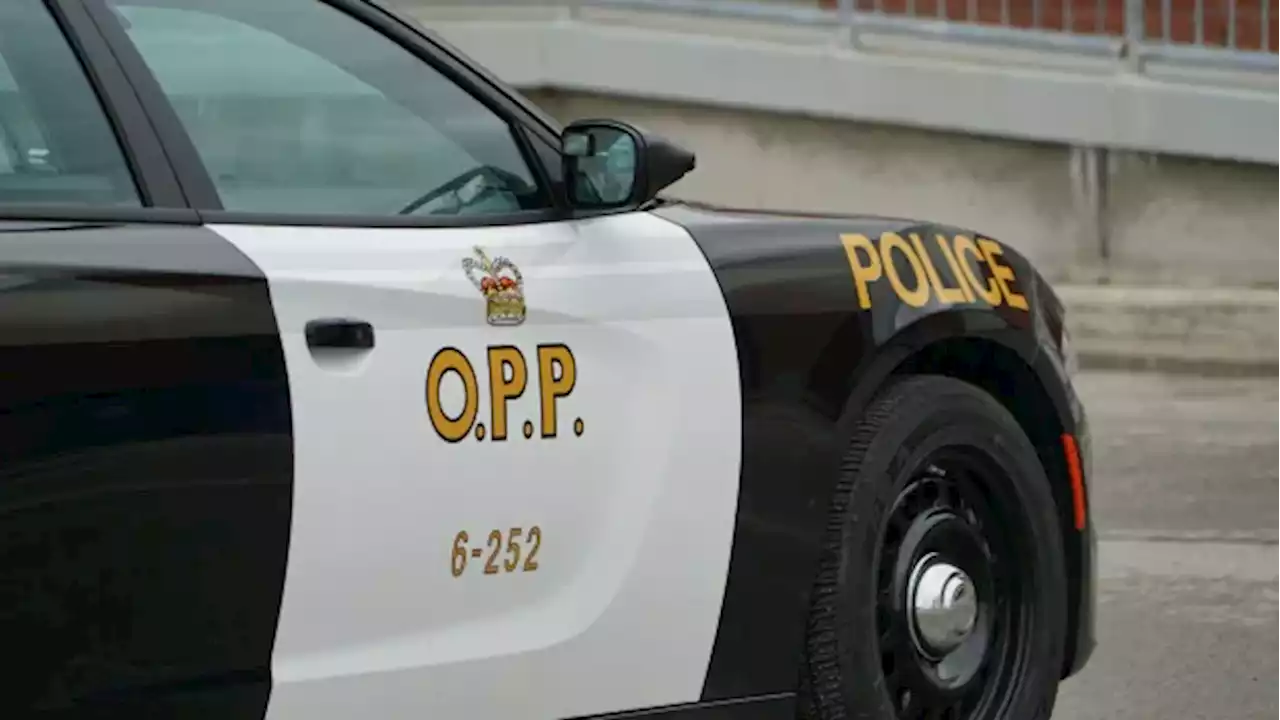 Mississauga man drowns in Lake Simcoe, 1 person rescued, OPP say | CBC News