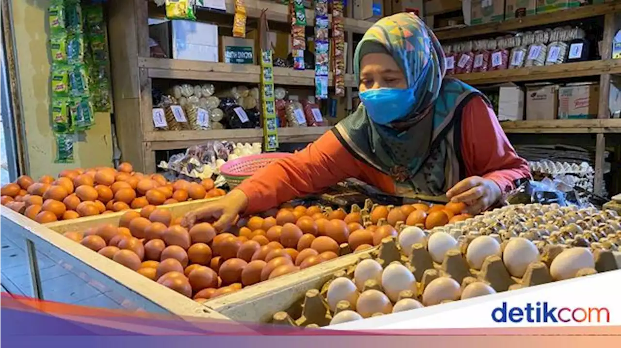 Ibu-ibu yang Sabar Ya, Harga Telur Ayam Tembus Rp 33.000/Kg