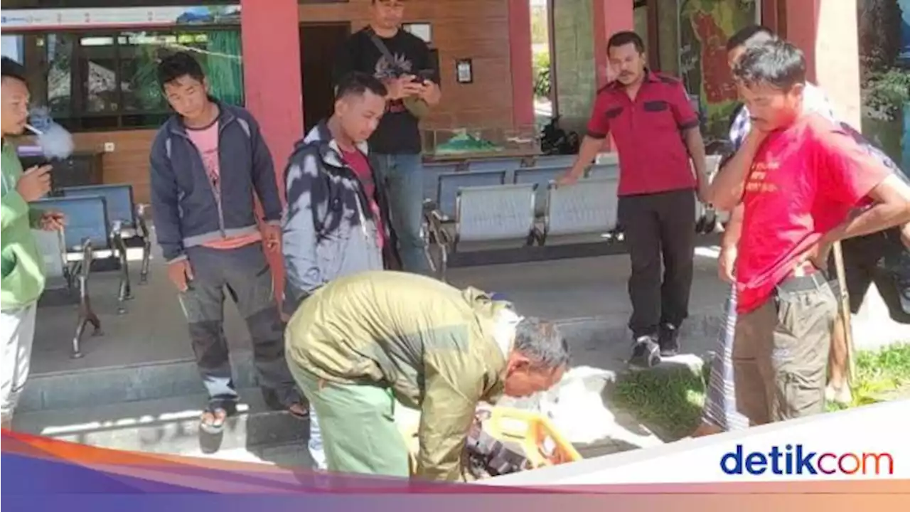 Selfie di Puncak Rinjani, WN Portugal Tewas Jatuh ke Jurang 150 Meter