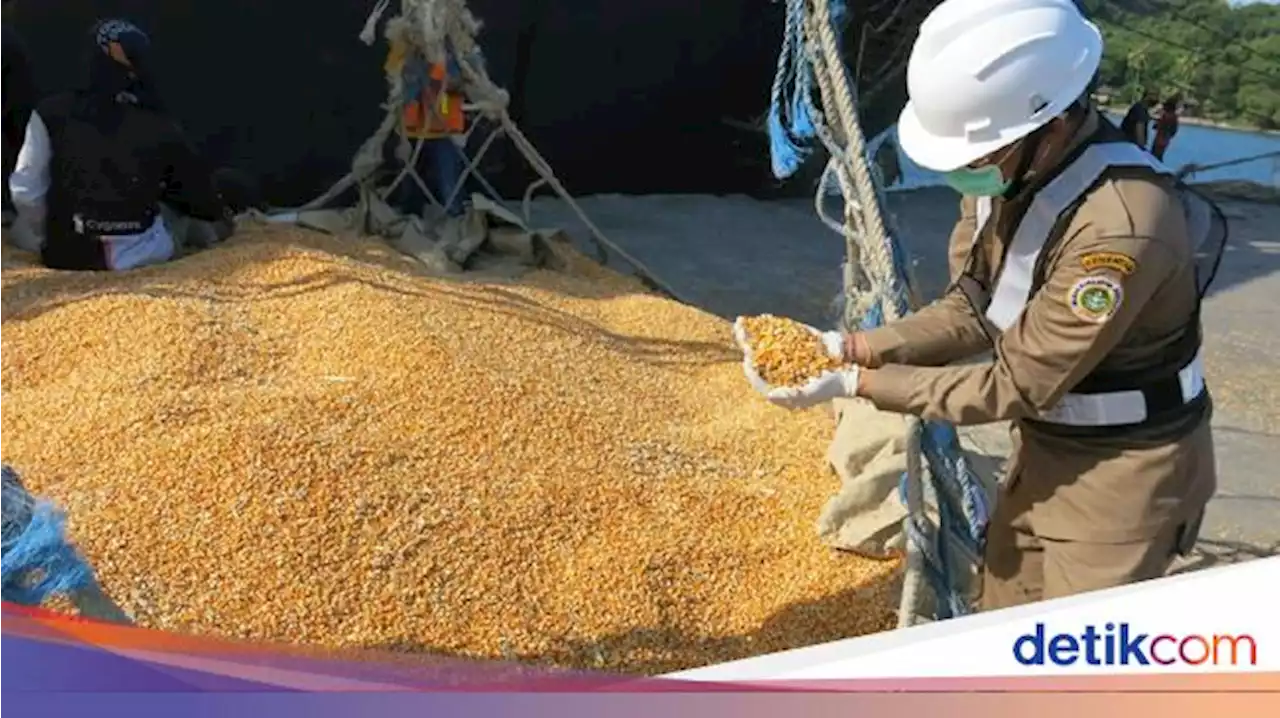 Surplus hingga 3 Juta Ton, Jagung RI Diekspor ke Filipina