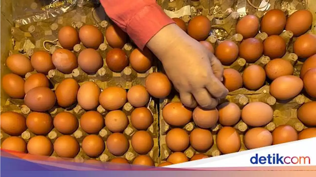 Terungkap! Ini Biang Kerok Harga Telur Ayam Sampai Rp 33.000/kg