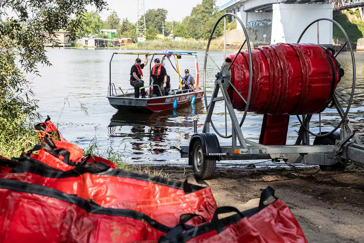 Fischsterben in der Oder - Stettiner Haff laut Backhaus nicht betroffen