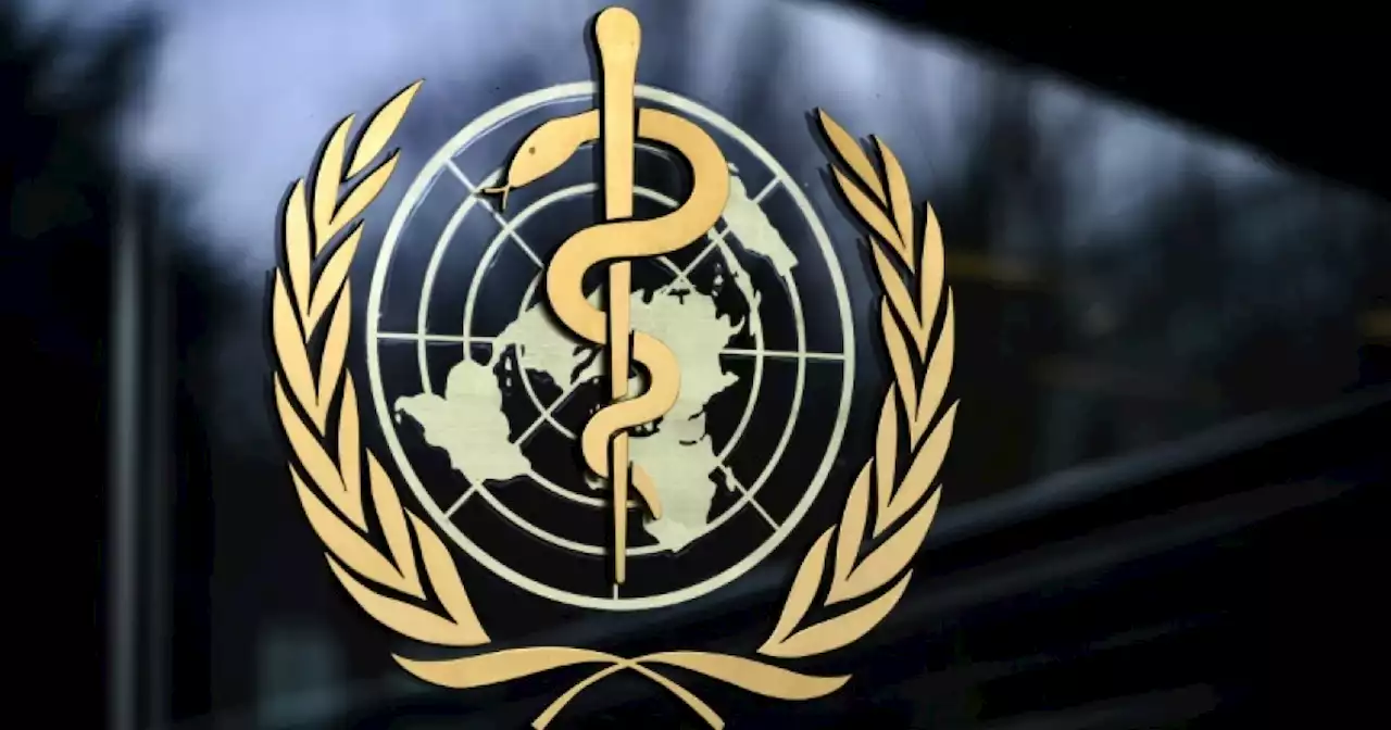 WHO pushes two Ebola treatments found to boost survival rates