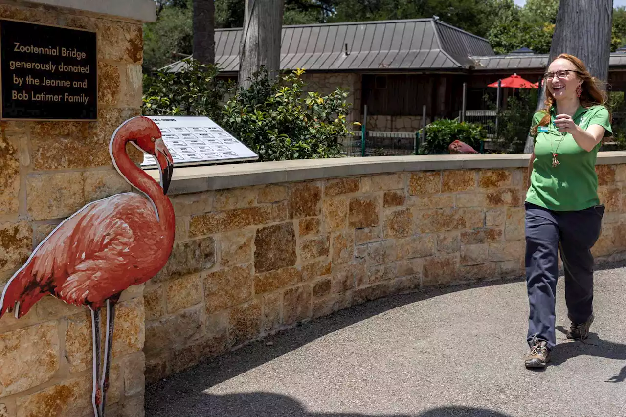 ‘We’re a zoo for all’: Inclusion plays big part in San Antonio Zoo’s story