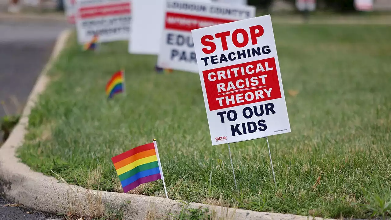 Texas state senator compares removing CRT from schools to ‘what happened in Nazi Germany’ on MSNBC