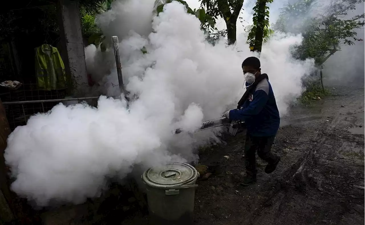 DOH: Dengue cases continue to increase in 9 out of 17 regions