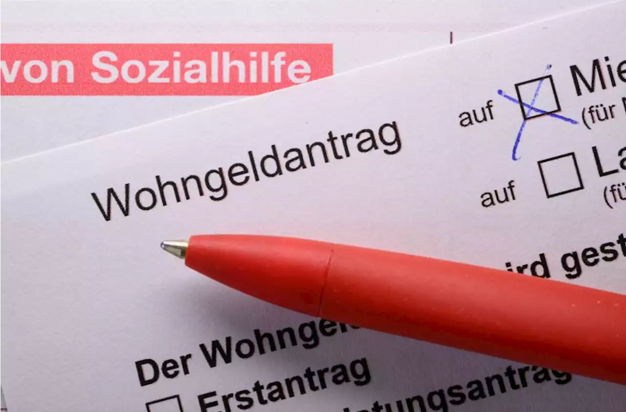 Statistisches Bundesamt: Ausgaben für Sozialhilfe sind gestiegen - idowa