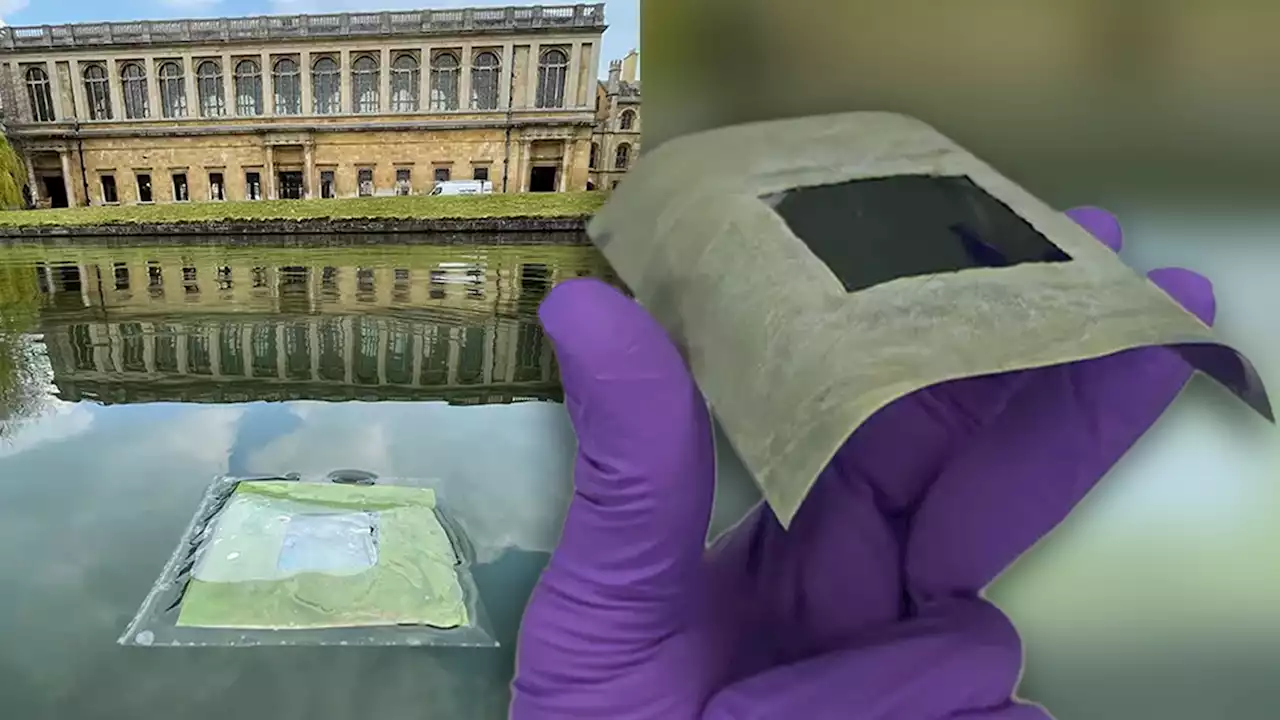 This tiny floating artificial leaf converts sunlight into fuel