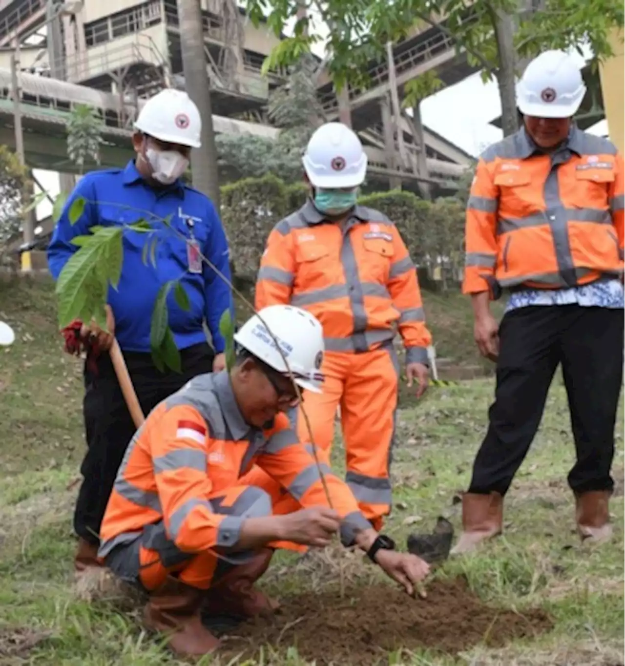 Semen Padang Hijaukan Area Rawmill Indarung V