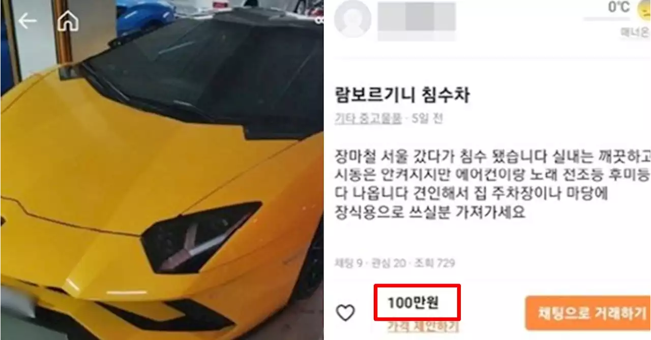 람보르기니 주인, 따로 있었다...'100만원에 판다' 당근마켓 글 진실