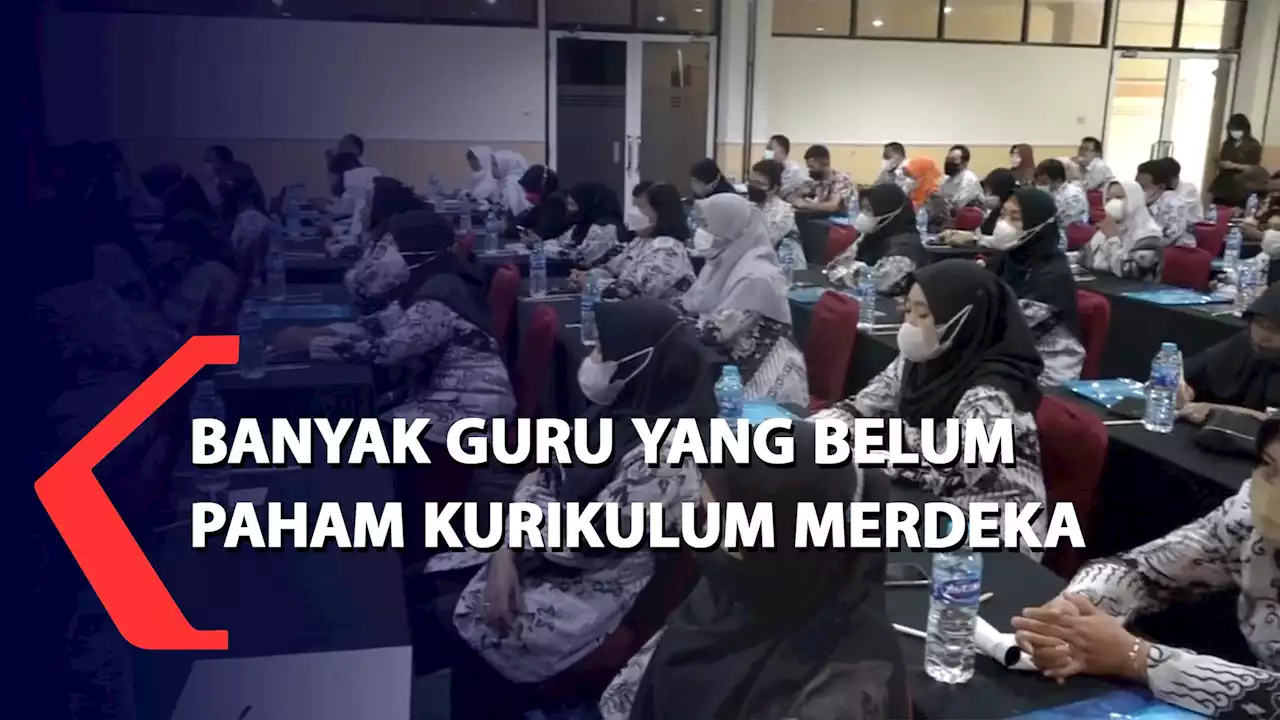 Banyak Guru yang Belum Paham Kurikulum Merdeka