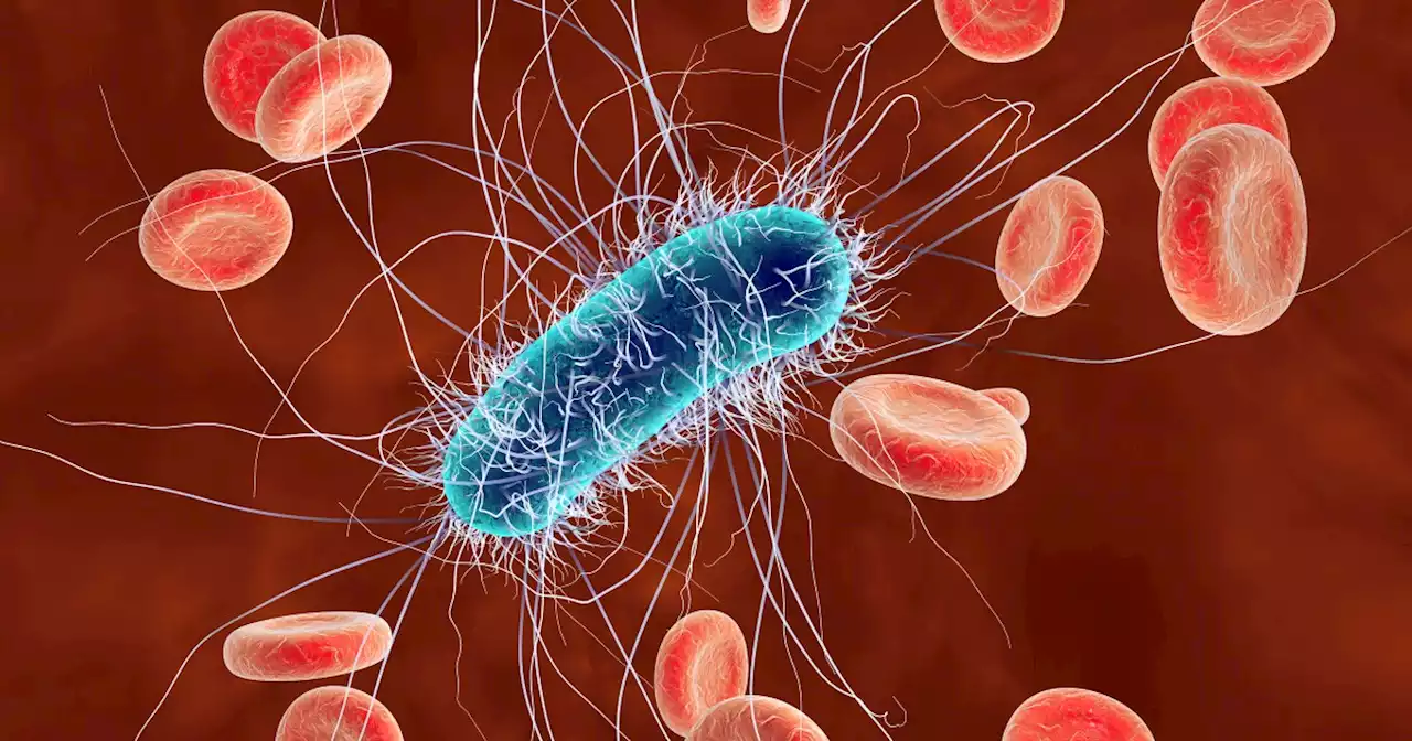 A rapidly spreading E. coli outbreak in Michigan and Ohio is raising health alarms