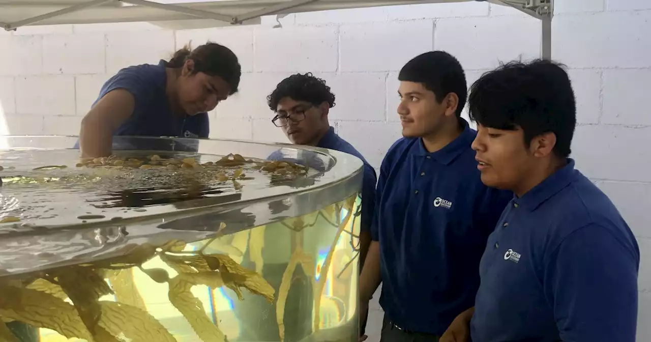 Underserved high school students go to Baja California for science experience