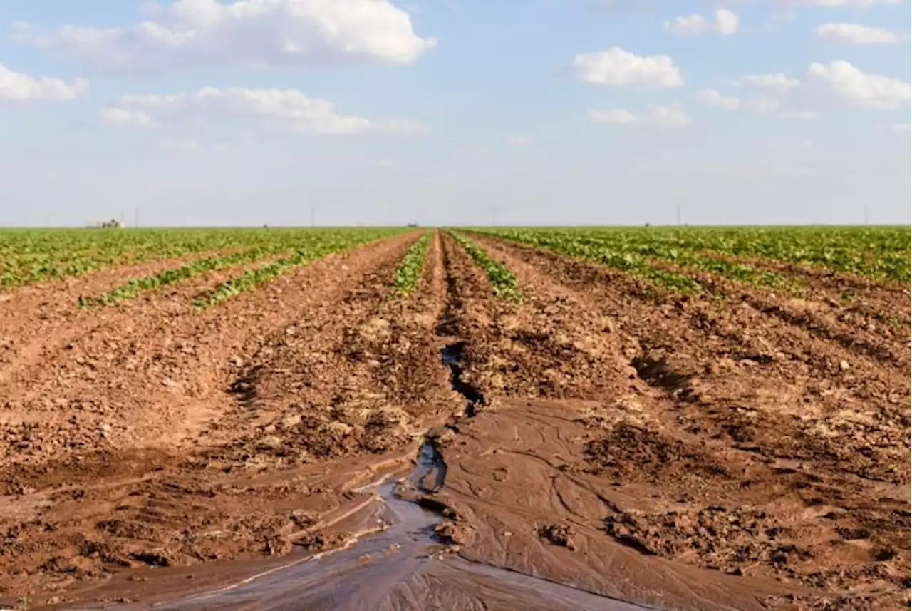 Texas is facing its worst drought since 2011. Here’s what you need to know.