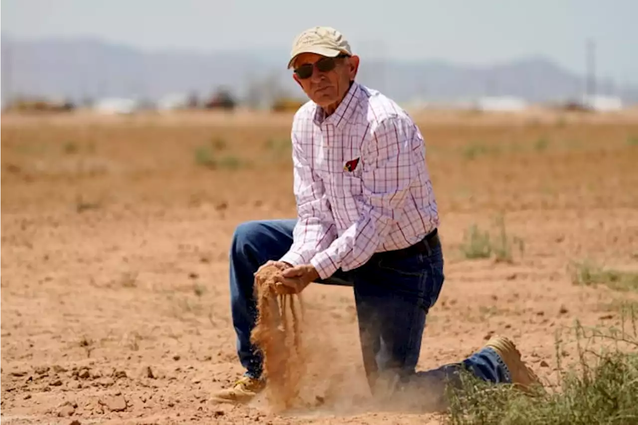 Crisis looms without big cuts to over-tapped Colorado River