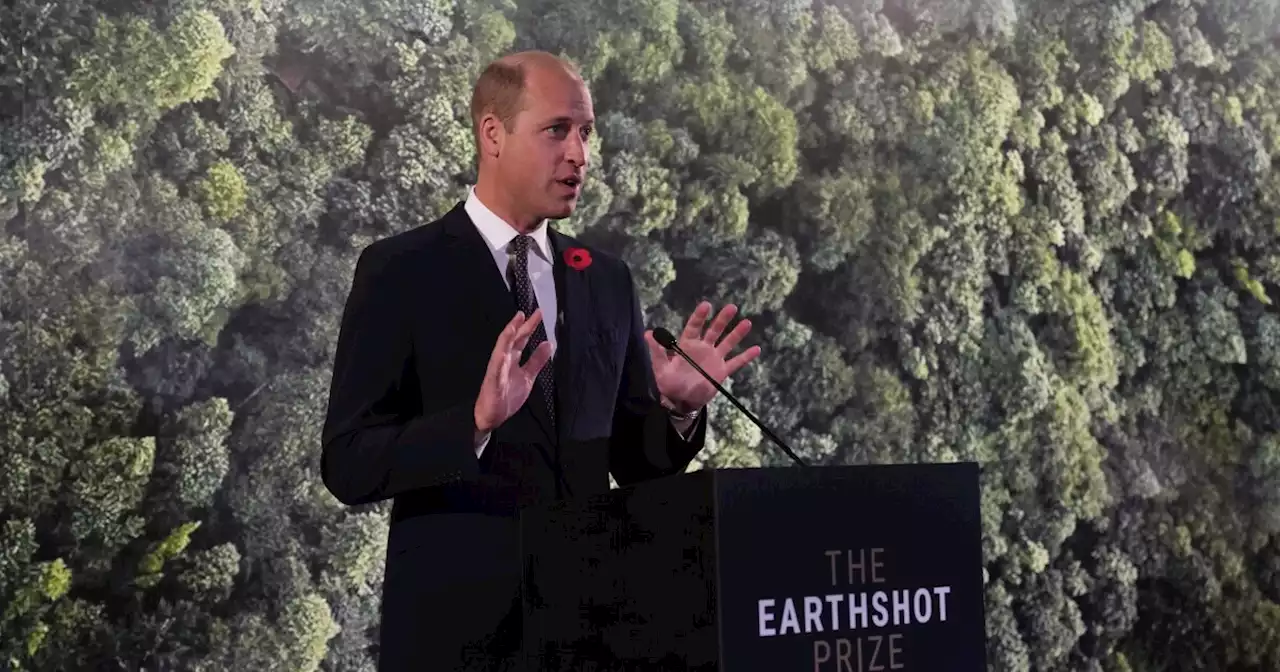 Prince William charity invests in bank that's one of world's biggest backers of fossil fuels