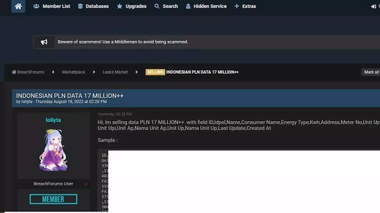 17 Juta Data Pelanggan PLN Diduga Bocor, Dijual di Forum Hacker