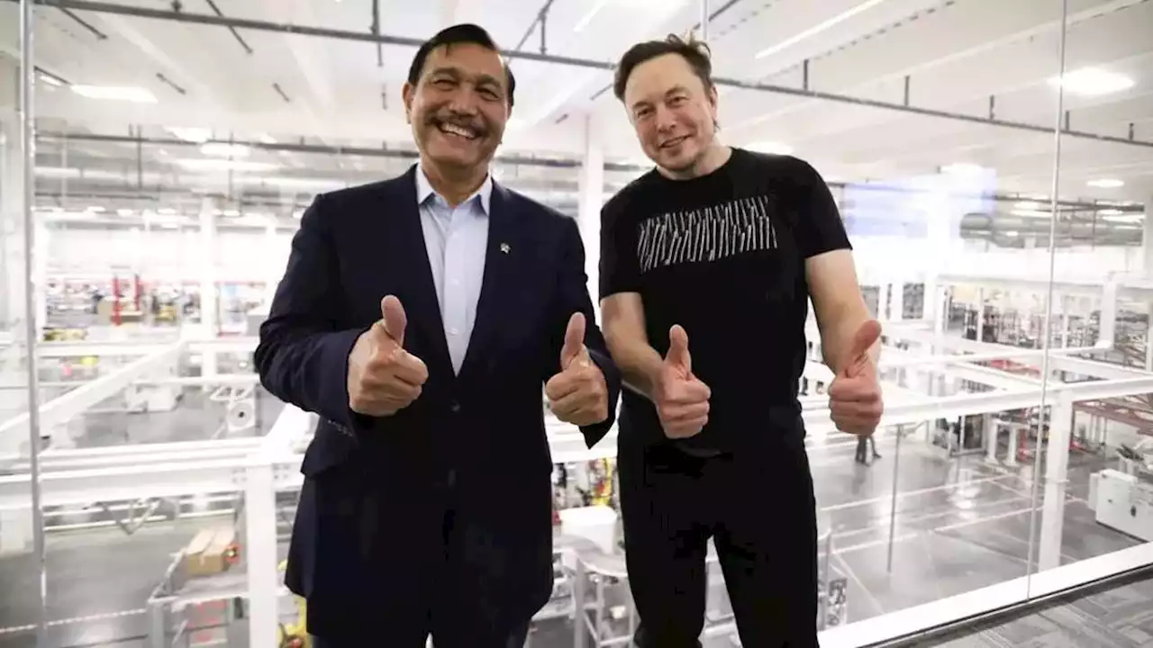 September Temui Elon Musk, Menko Luhut akan Tagih Kejelasan Investasi di Indonesia