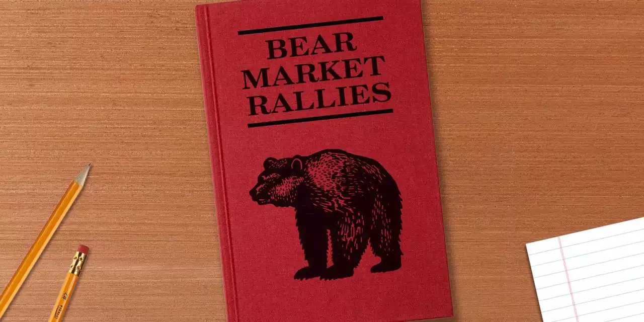 How this bear-market rally has been textbook in terms of length and magnitude