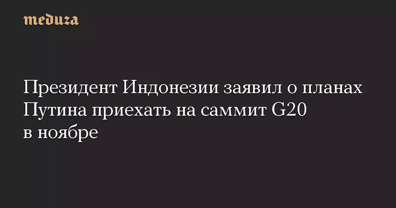 Президент Индонезии заявил о планах Путина приехать на саммит G20 в ноябре — Meduza