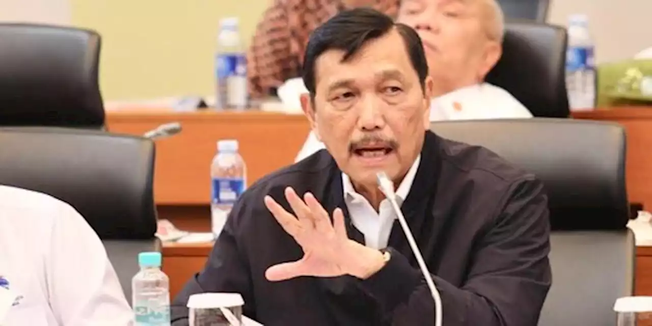 Curhat Luhut: Saya Dulu Dibully karena Dituduh Pro China | merdeka.com