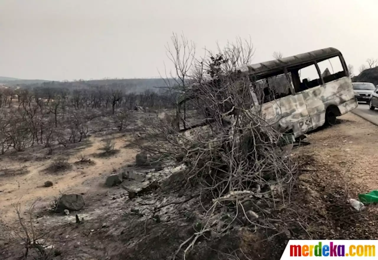 Foto : Potret Tragis Kebakaran Hutan di Aljazair yang Tewaskan 37 Orang | merdeka.com