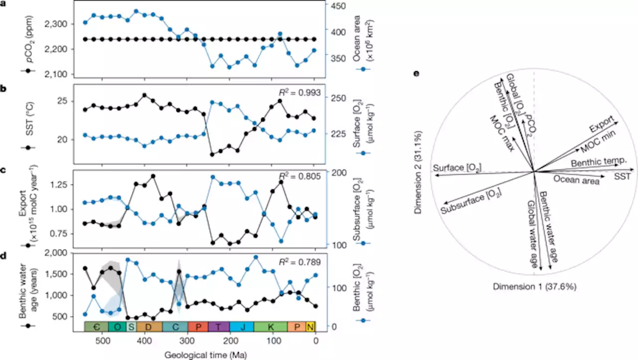 Continental configuration controls ocean oxygenation during the Phanerozoic - Nature