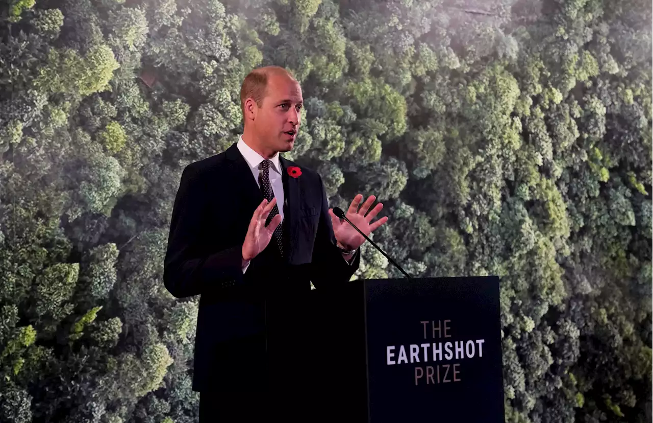 Prince William Charity Invests in Banks, Co.'s Linked to Harmful Environmental Practices