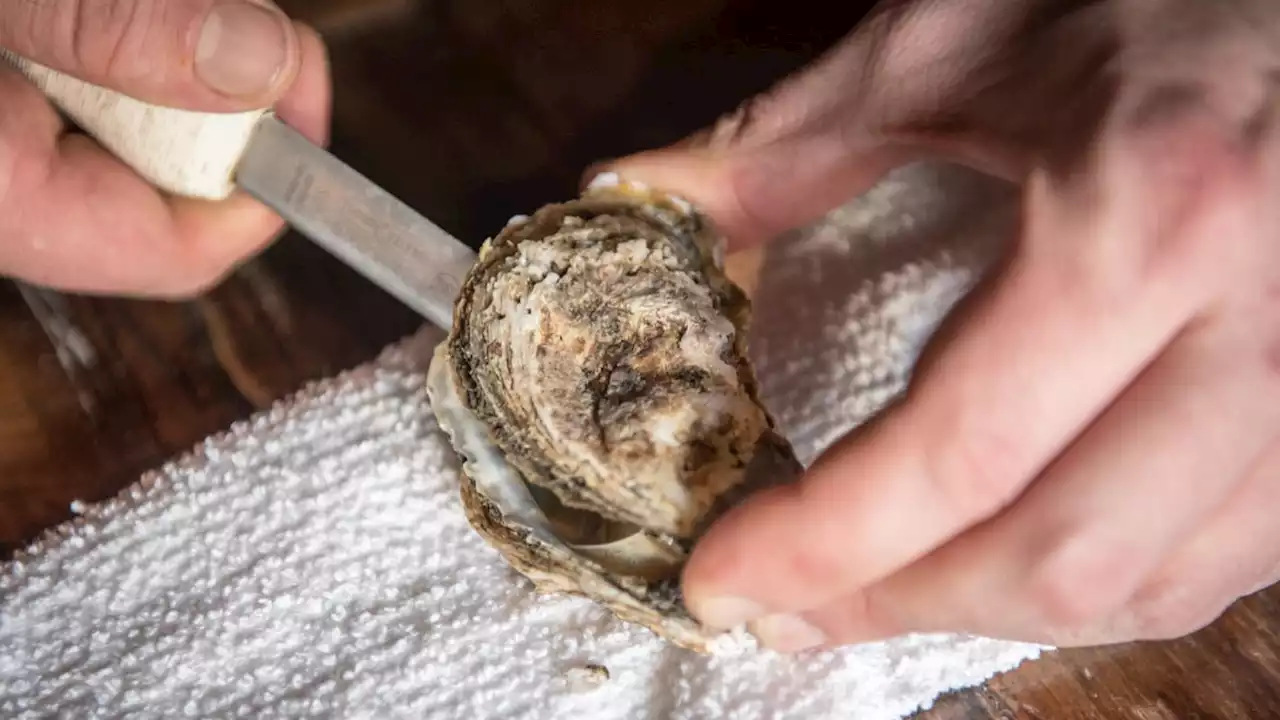 Florida Man Who Died Possibly From Bacteria in Raw Oysters Also Had Drugs in System: Medical Examiner