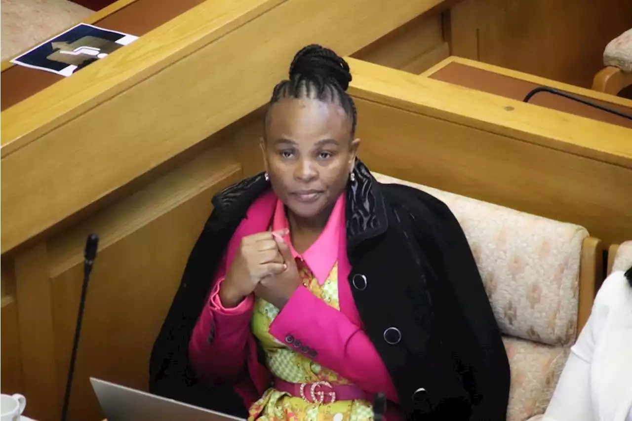 Public Protector investigator 'abandoned' Mkhwebane in 'hour of need' for taking 2 days' leave - Mpofu | News24