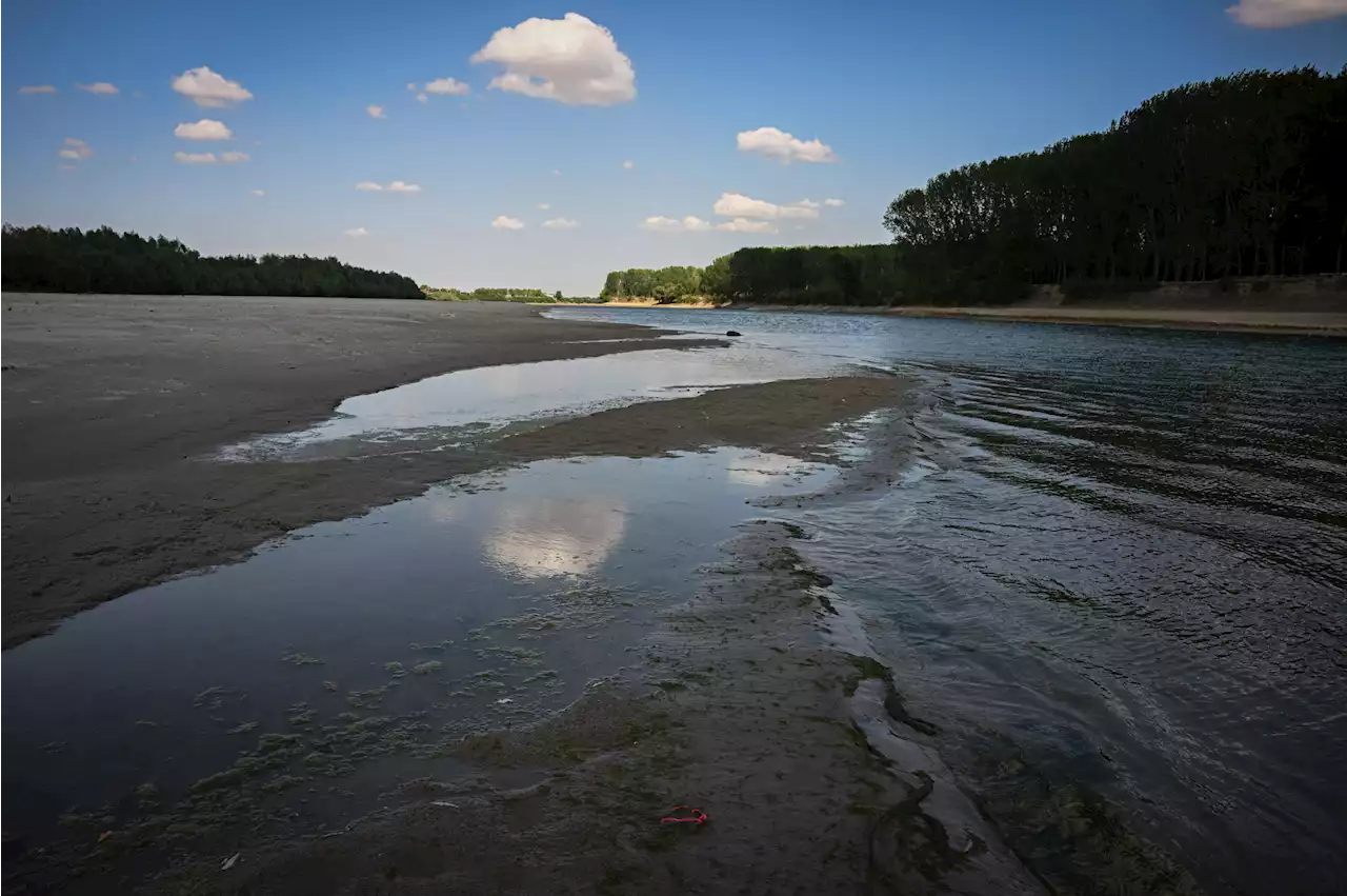 Drought in Europe causes sunken WWII warships to emerge out of Danube River