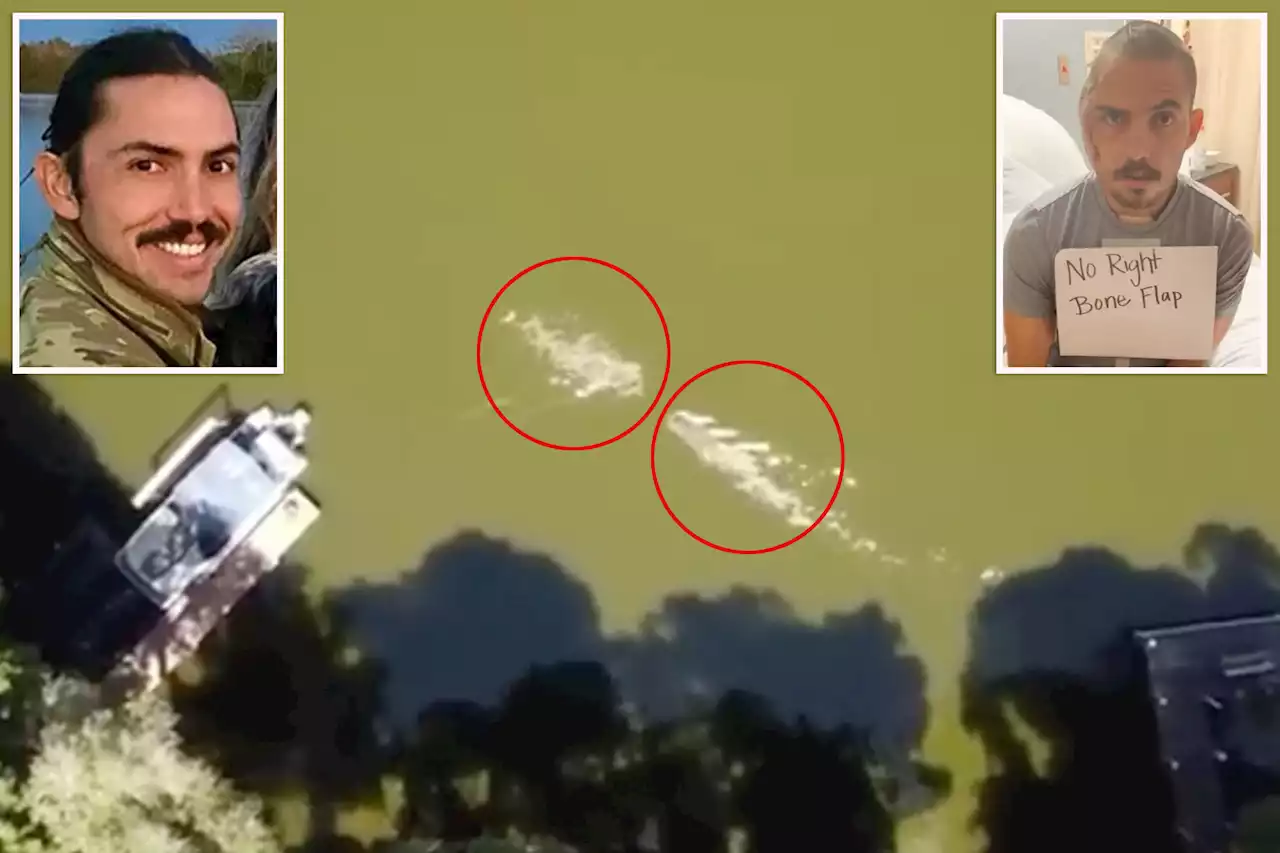 Drone footage captures encounter between Florida man and large gator