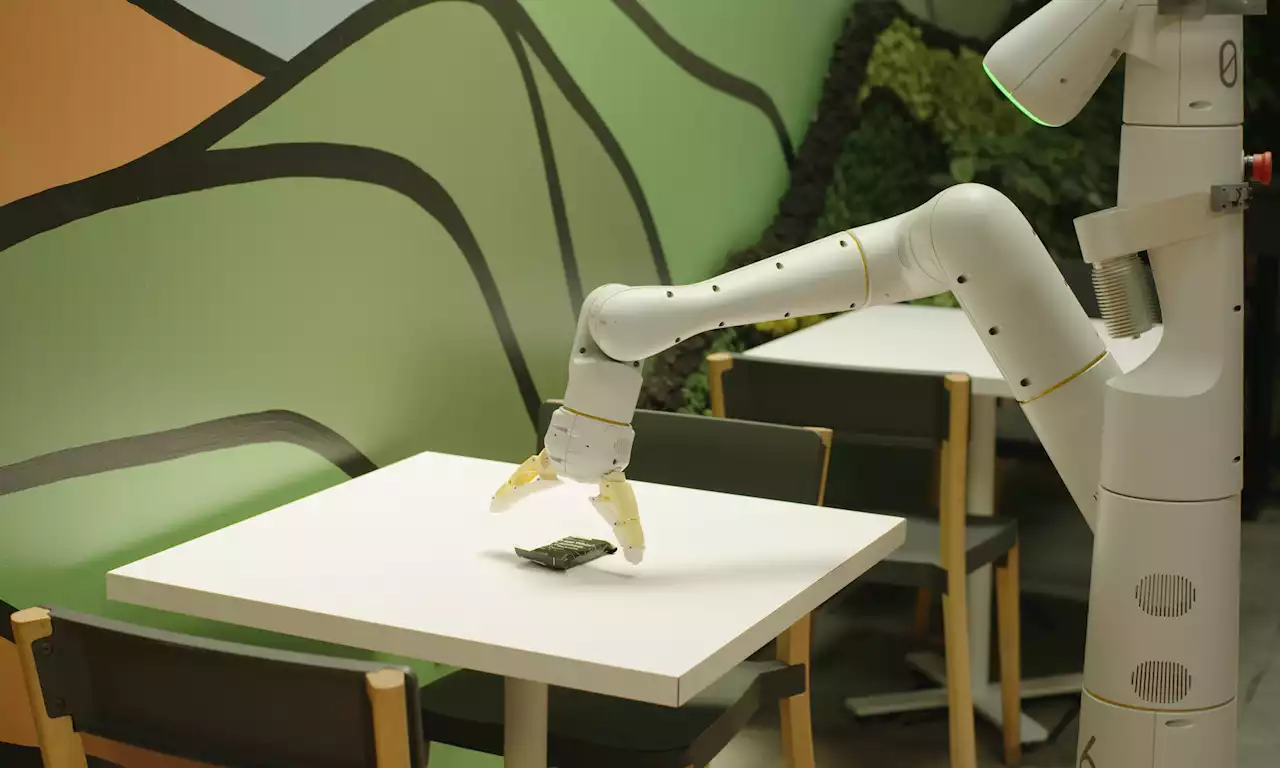 Google's new robot butler was trained on social media and Wikipedia articles