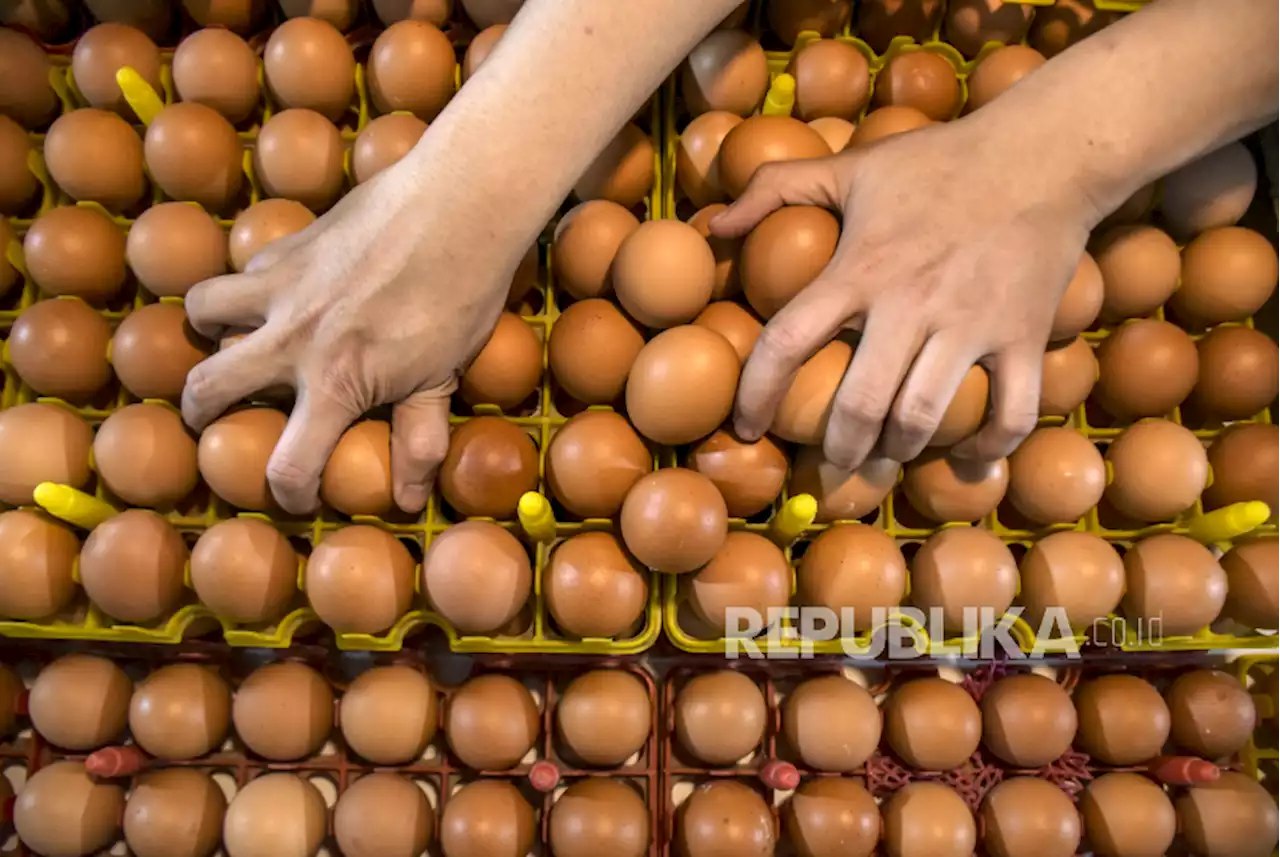 Harga Telur Ayam di Bandung Tembus Rp 32 Ribu per Kilogram |Republika Online