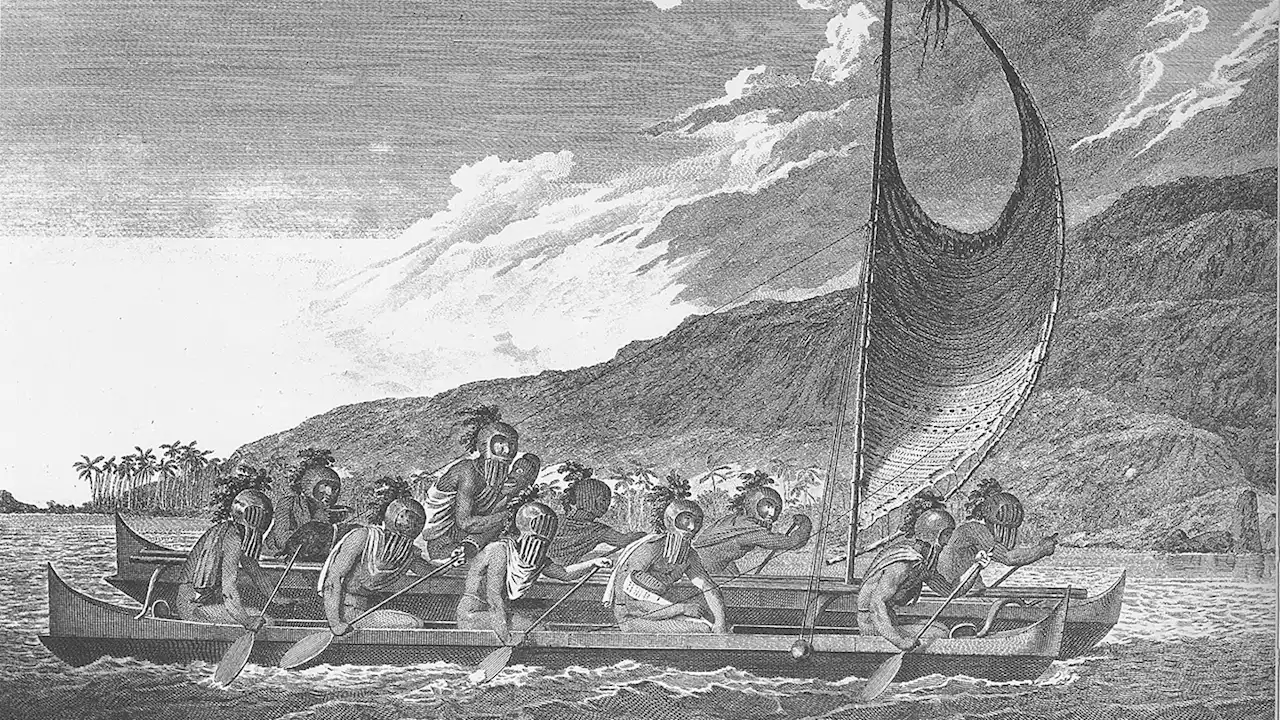 ‘The Five-Million-Year Odyssey’ reveals how migration shaped humankind