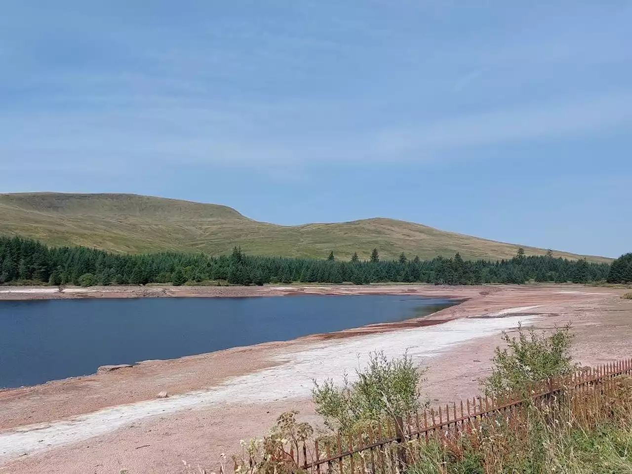 Drought declared in part of Wales after heatwave and low rainfall