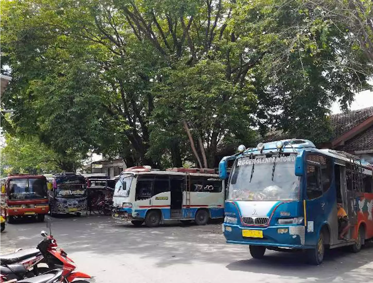 Merananya Sopir Angkutan Umum di Sragen, Sehari Hanya Sekali PP