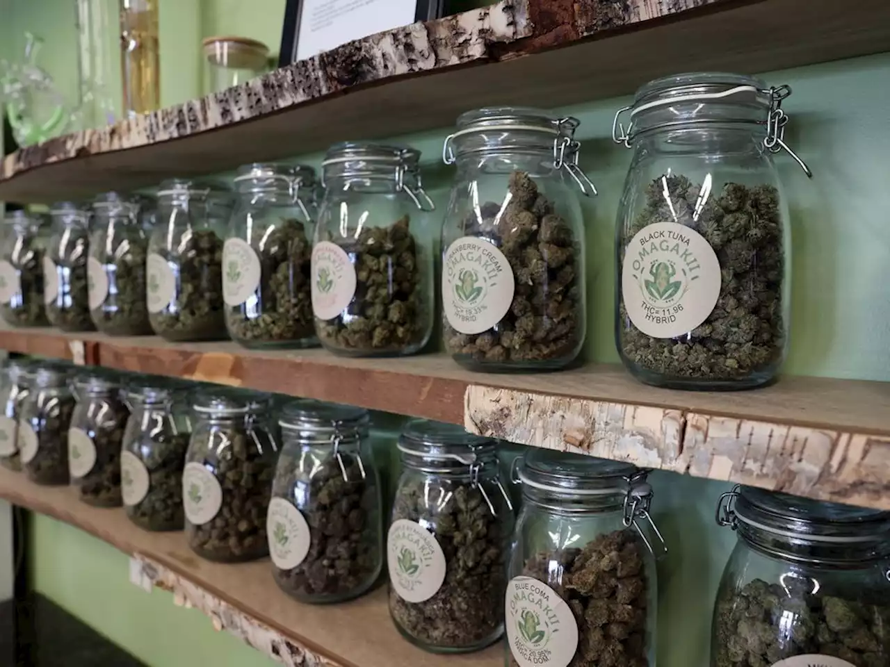 Sask. on-reserve weed shops exempt from permit process