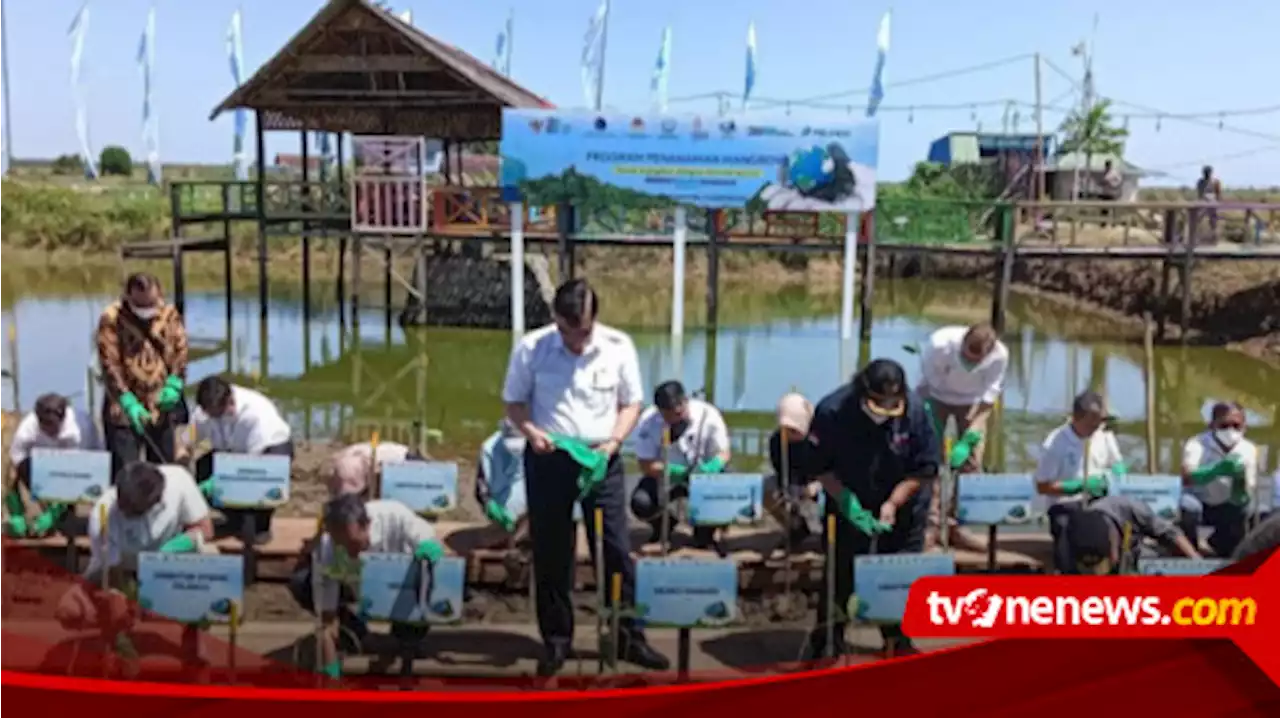 Tiga Menteri Menanam Mangrove di Mangngambang, Maros, Sulawesi Selatan