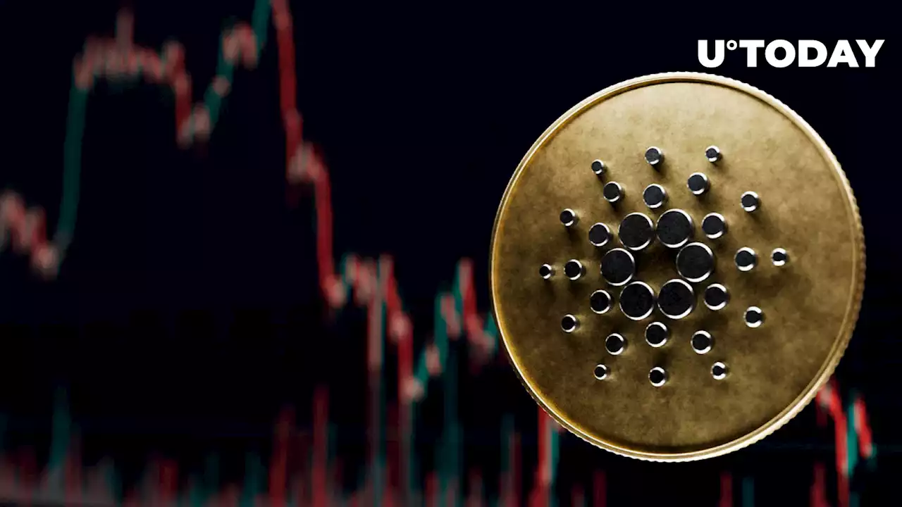 Cardano (ADA) Faces Massive Plunge, What's Happening?