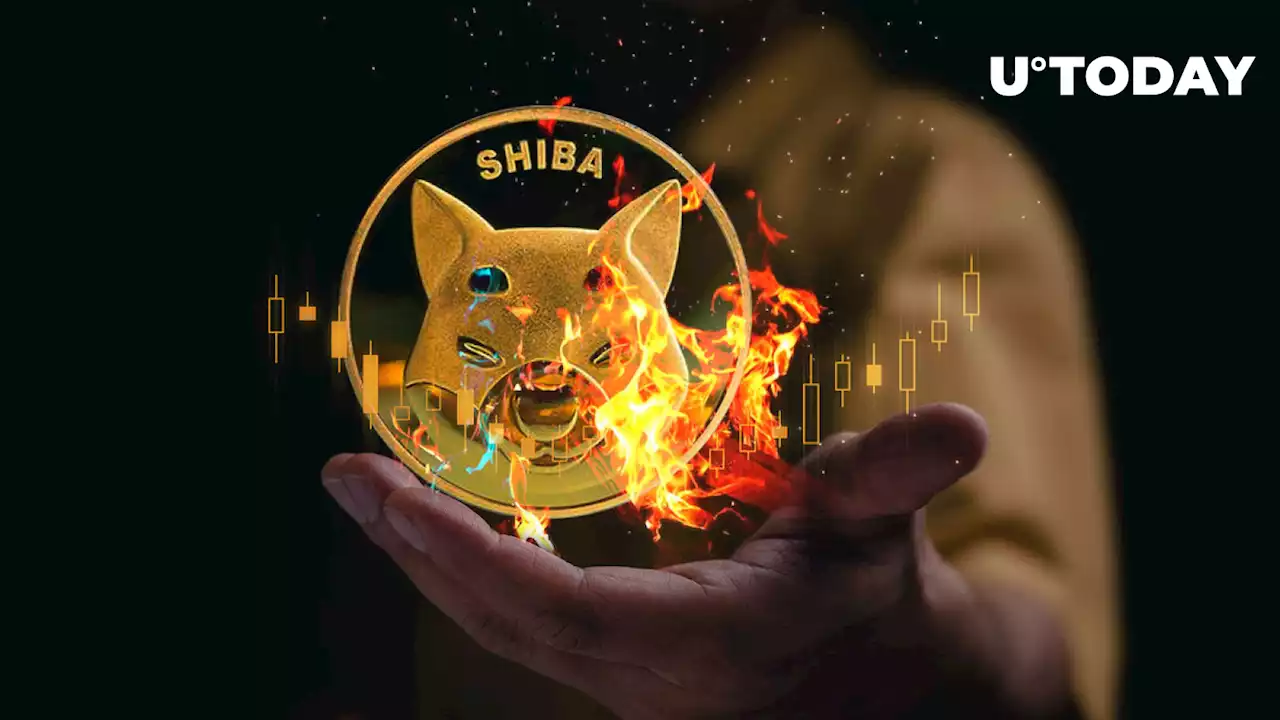 SHIB Burn Rate up 242.50% as Another 133 Million Shiba Gets Burned