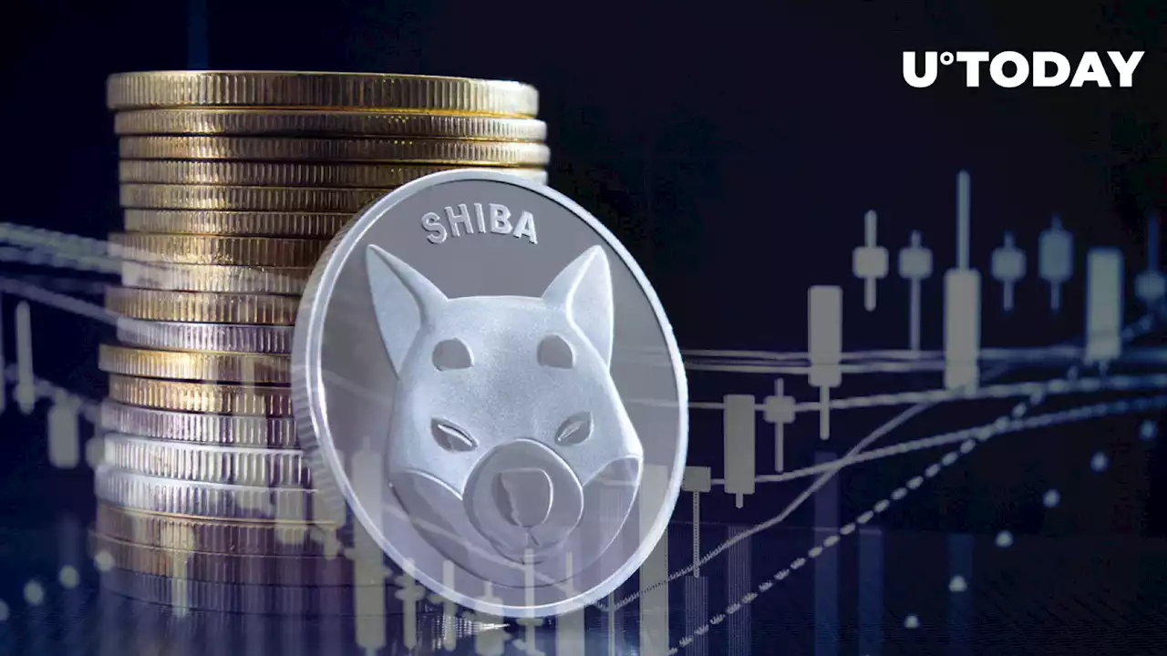 Shiba Inu Retail Holders Buying up Recent SHIB Price Drop, Data Shows