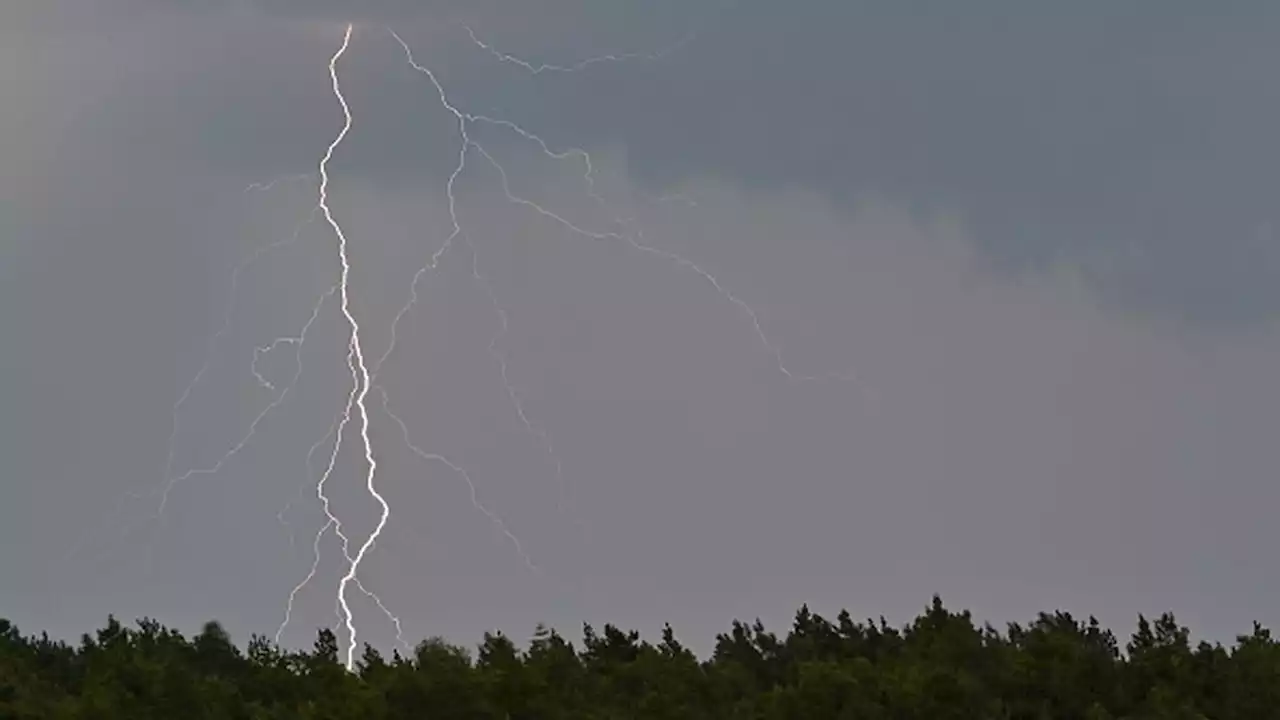 Lightning strike kills mom, injures child and dog in Florida