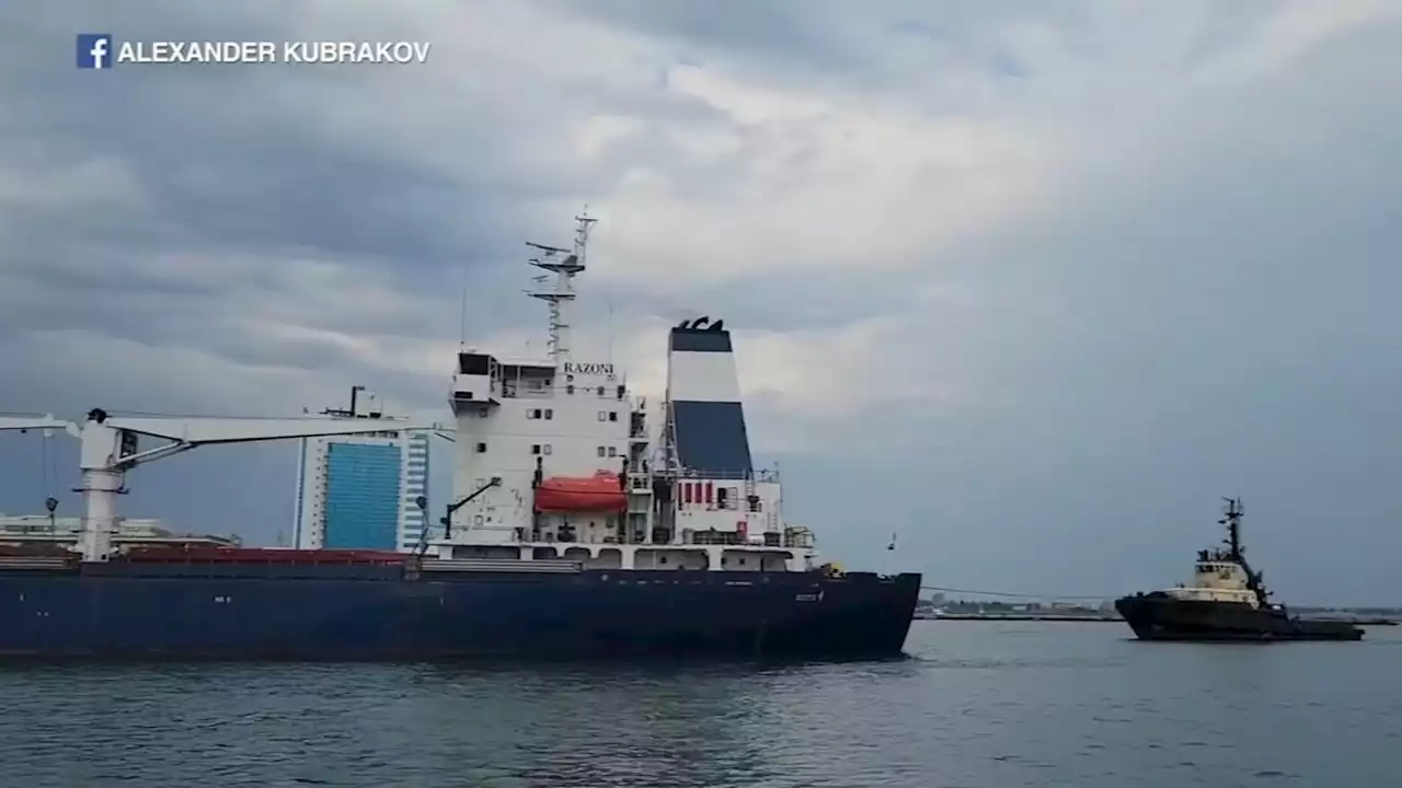 1st ship carrying grain leaves port of Odesa amid ongoing Ukraine war