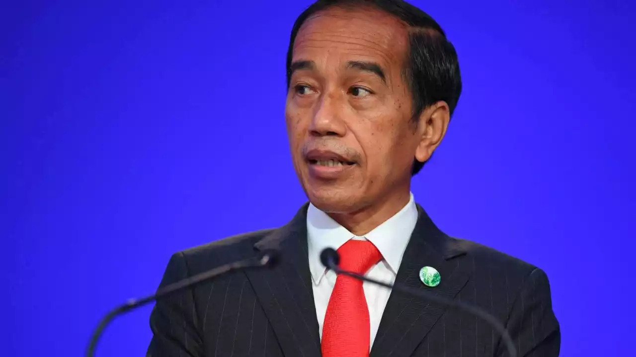 Misleading claim that 'Indonesian president appointed to lead UN crisis group' circulates online