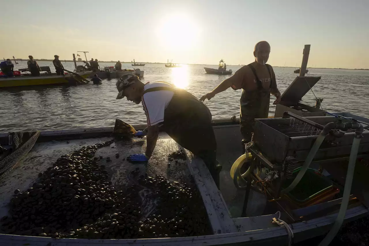 Italy's salty Po Delta hurting agriculture, fisheries