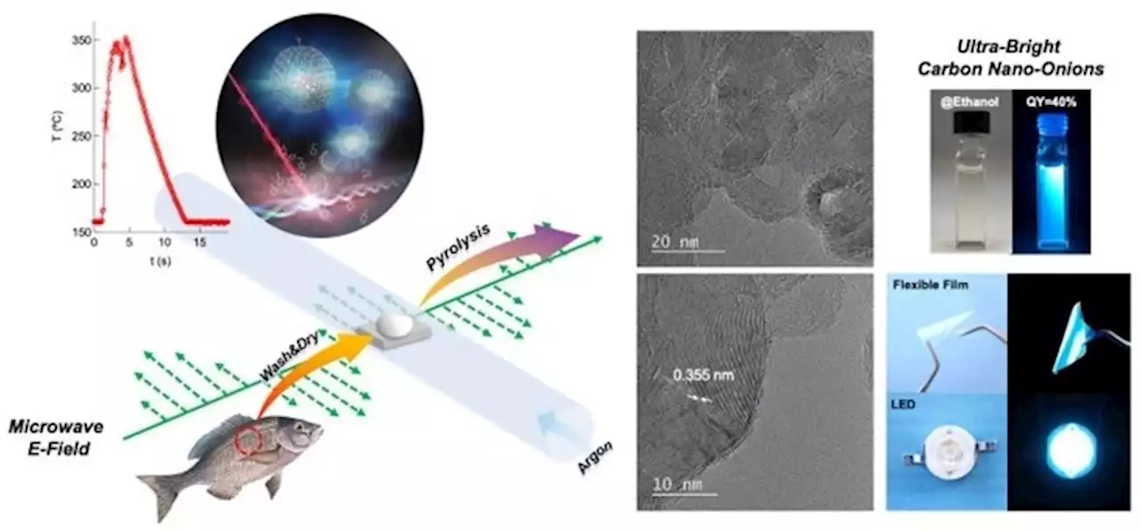 Converting Fish Waste into Carbon-Based Nanomaterial