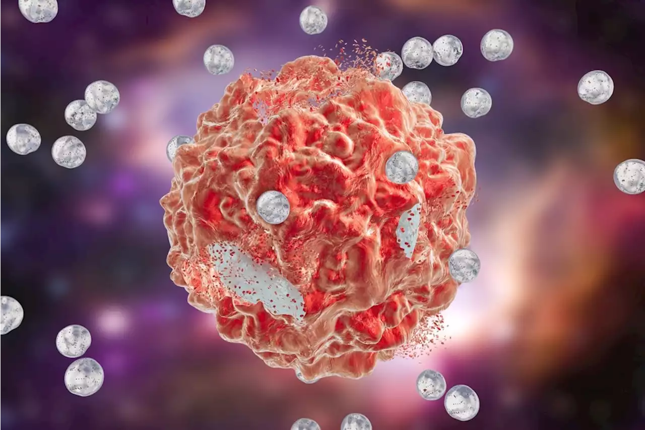 Promoting Nanoparticle Delivery at 'Cellular Level' to Advance Nanomedicine