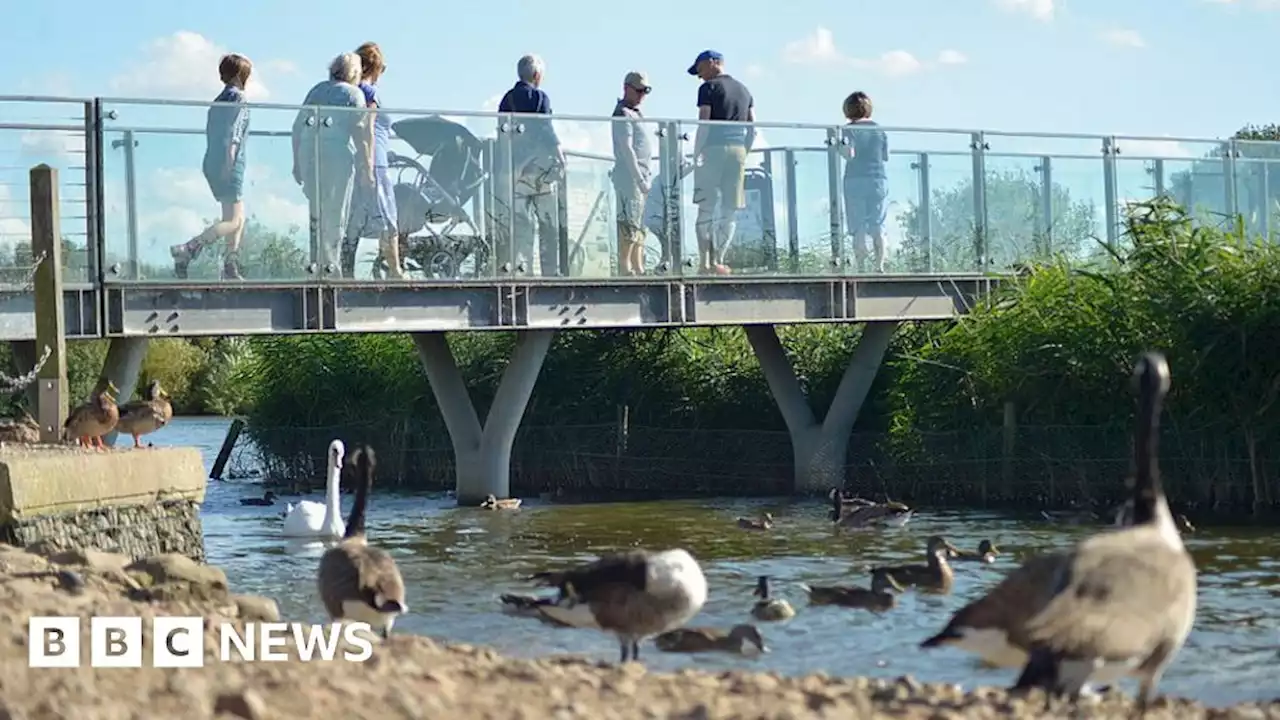 Attenborough Nature Reserve finds 150 suspected bird flu deaths