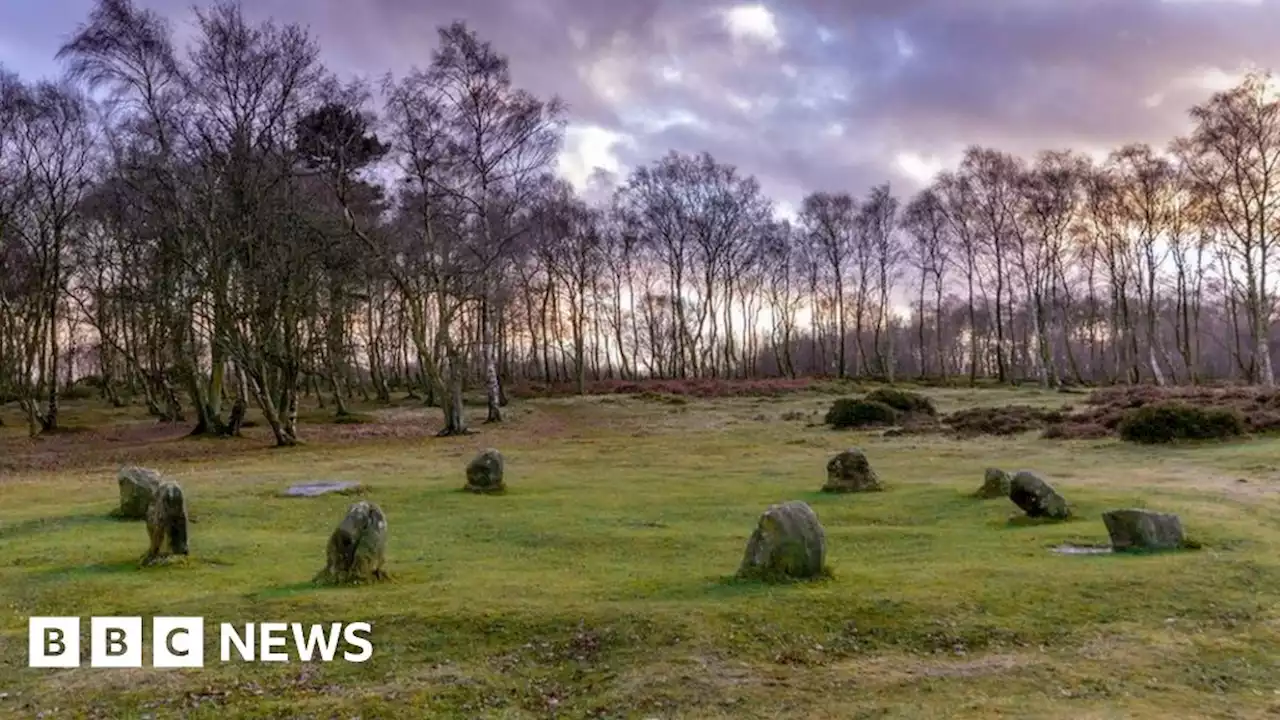 Nine Ladies Stone Circle site damaged by cooking fire